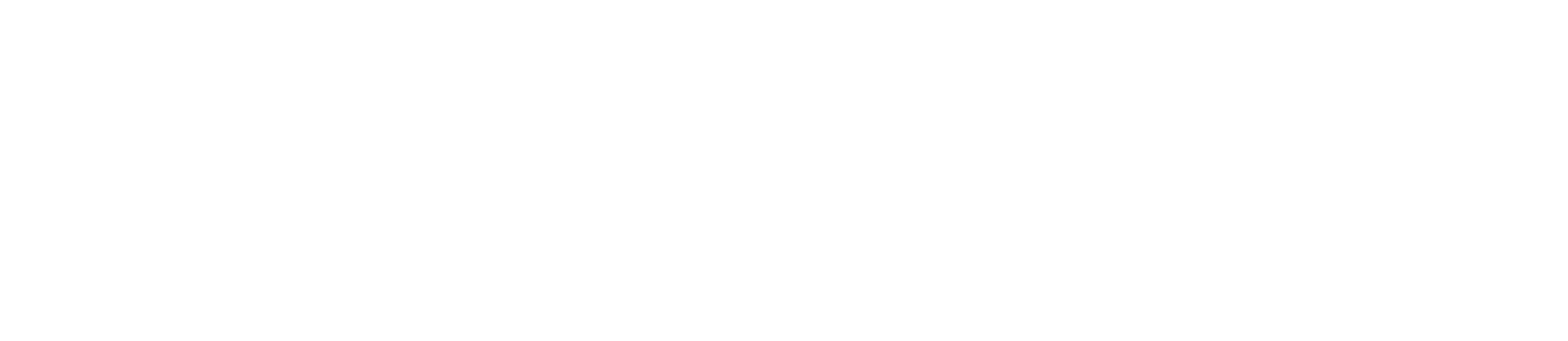 Zenskar logo