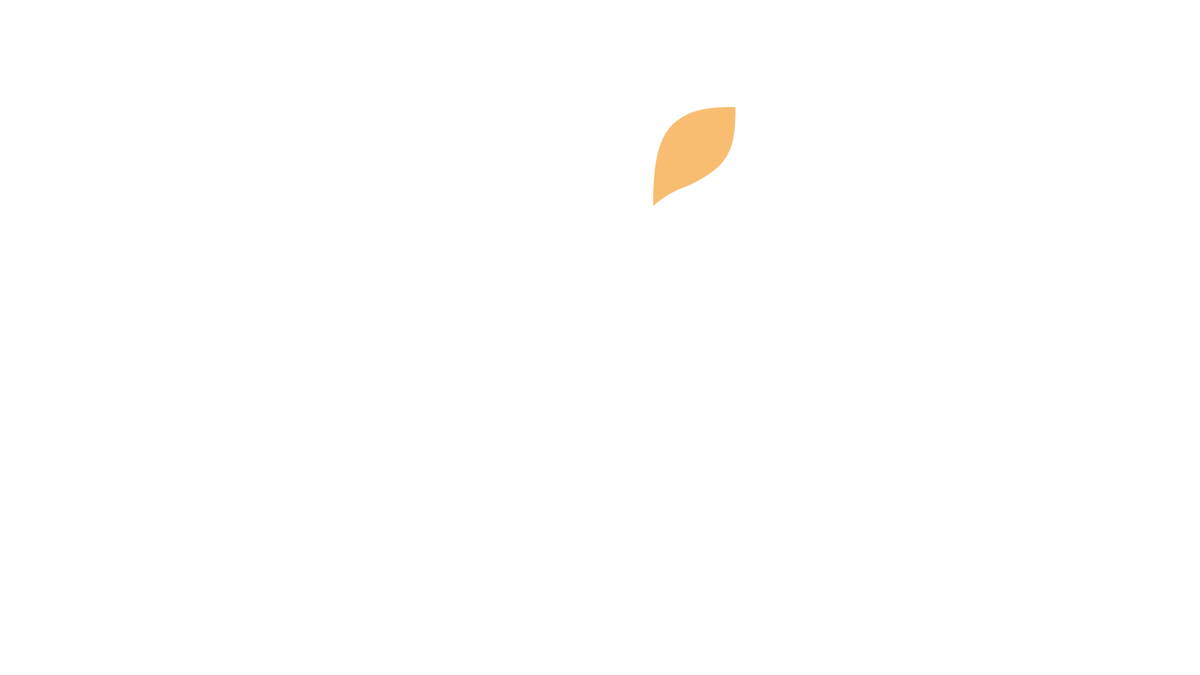 Wix