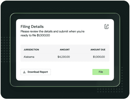 Filing Details card with a jurisdiction, amount, and amount due table, plus Download Report and File buttons