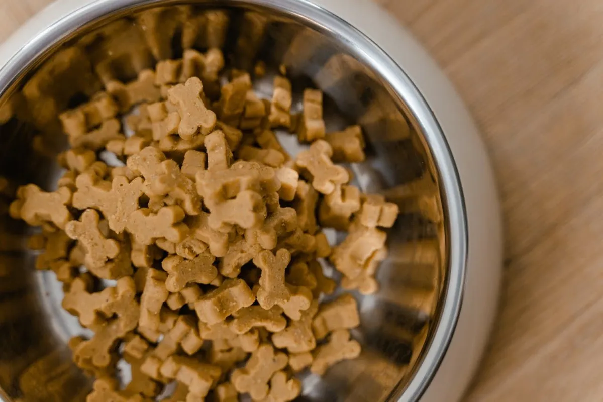 How California Sales Tax on Dog Food Affects Pet Product Sellers Online
