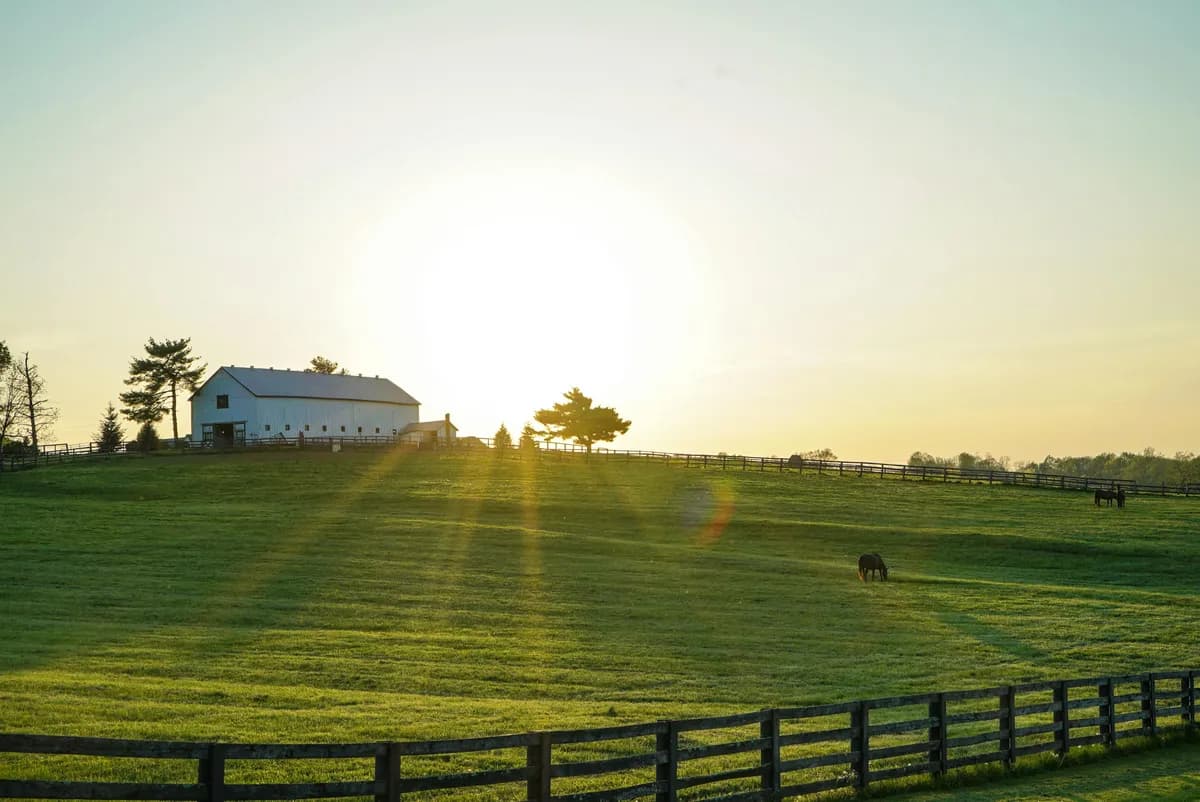 Kentucky Sales Tax Exemptions: What Every Business Needs to Know