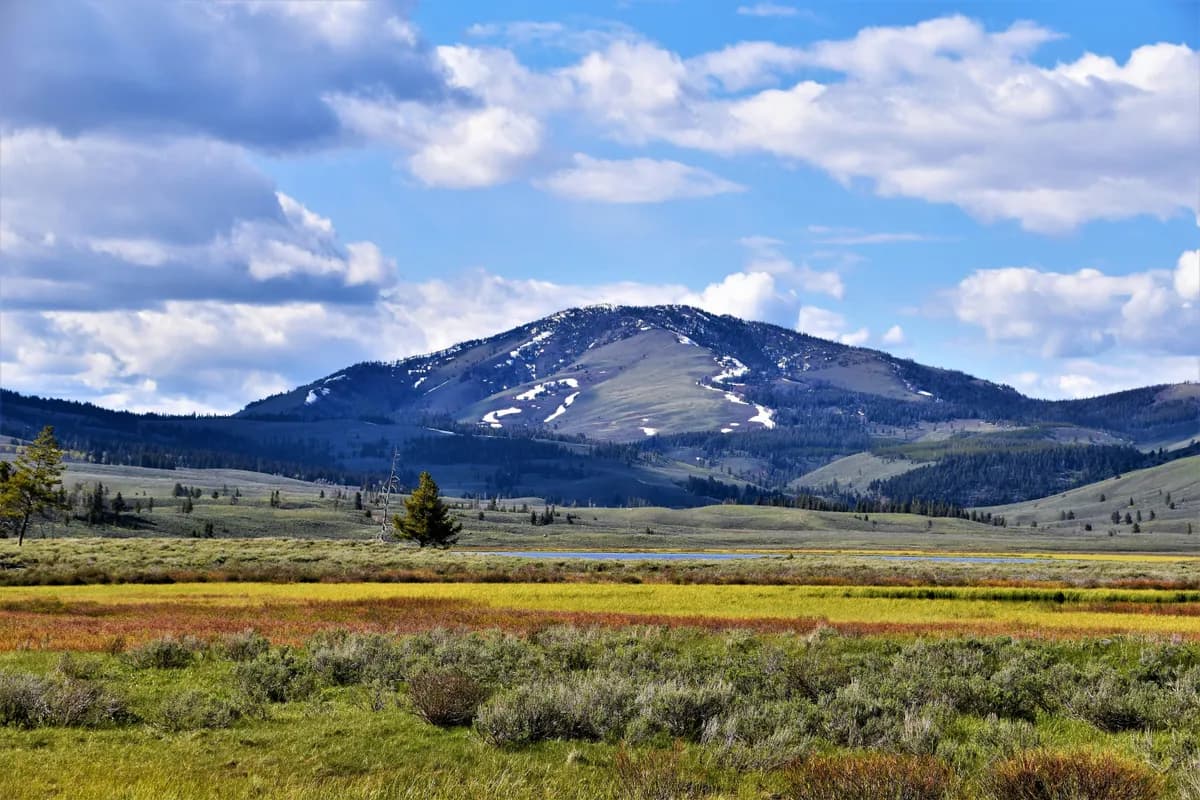 Montana Sales Tax Exemption: What Businesses Need to Know About a No-Sales-Tax State