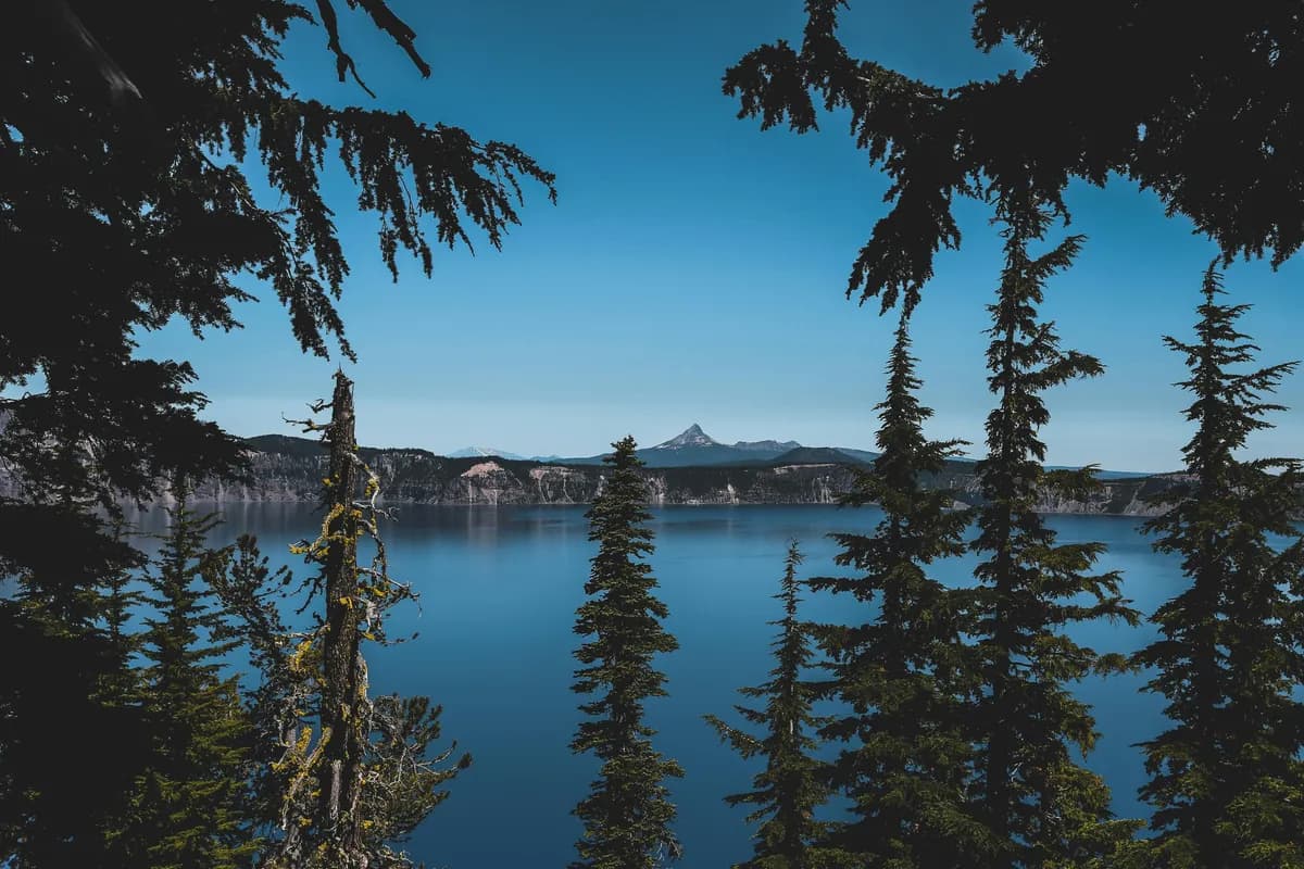 Oregon Sales Tax Exemption: A Complete Guide for Businesses