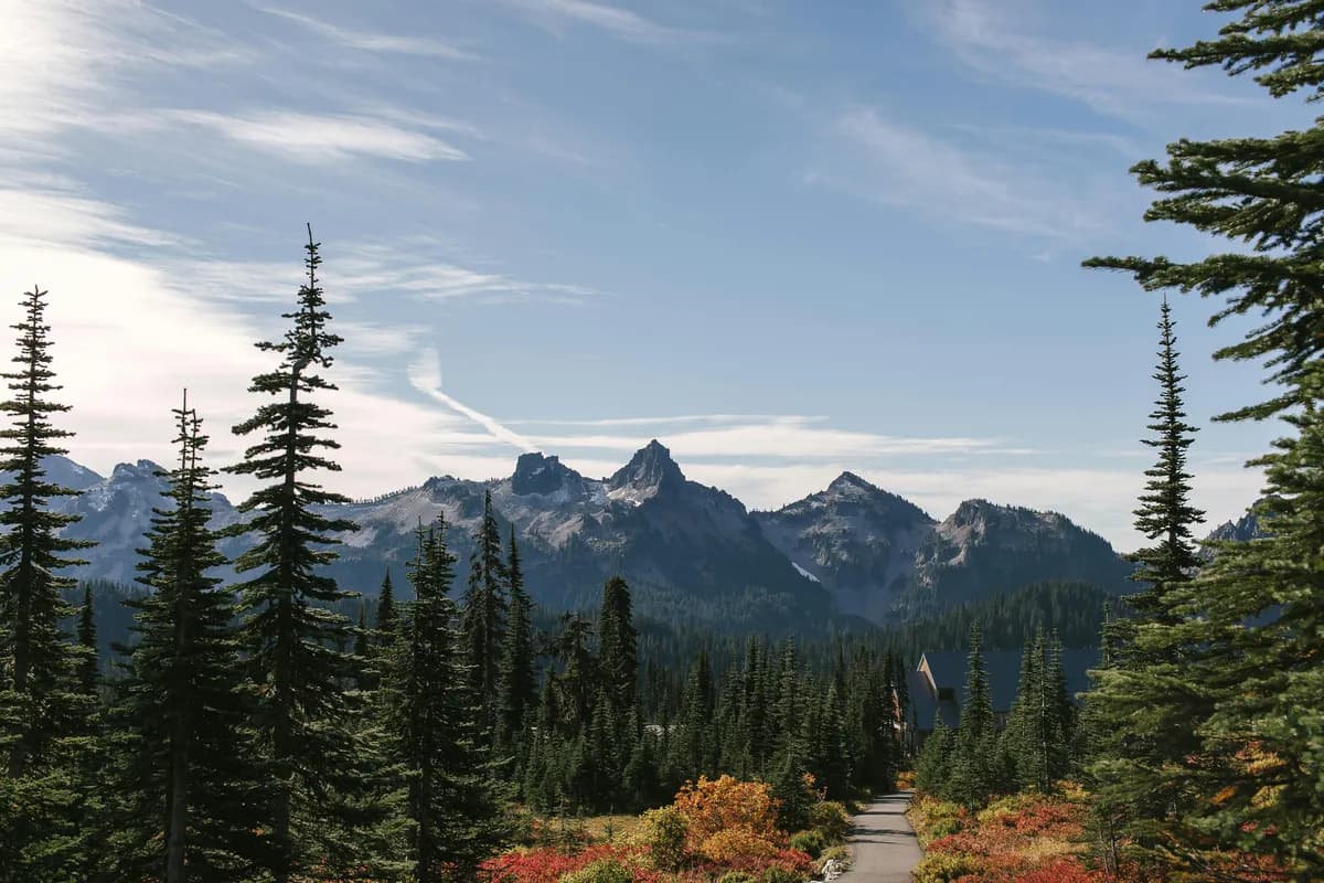 Sales Tax in Mount Vernon WA: What It Means for Online Stores