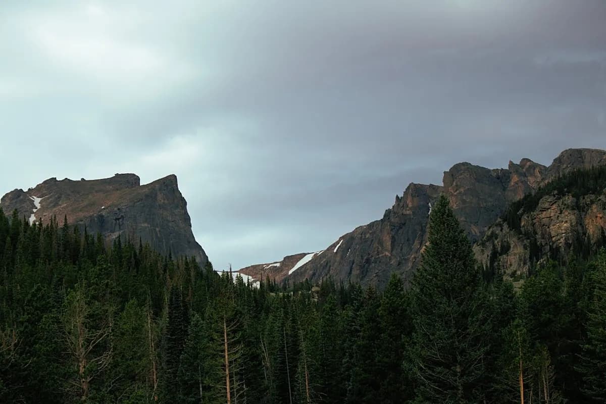 What Is Exempt from Sales Tax in Wyoming: A Guide for Businesses