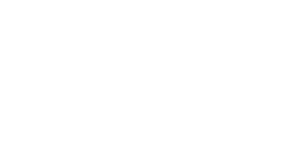 Oracle NetSuite SuiteCloud Developer Network Partner